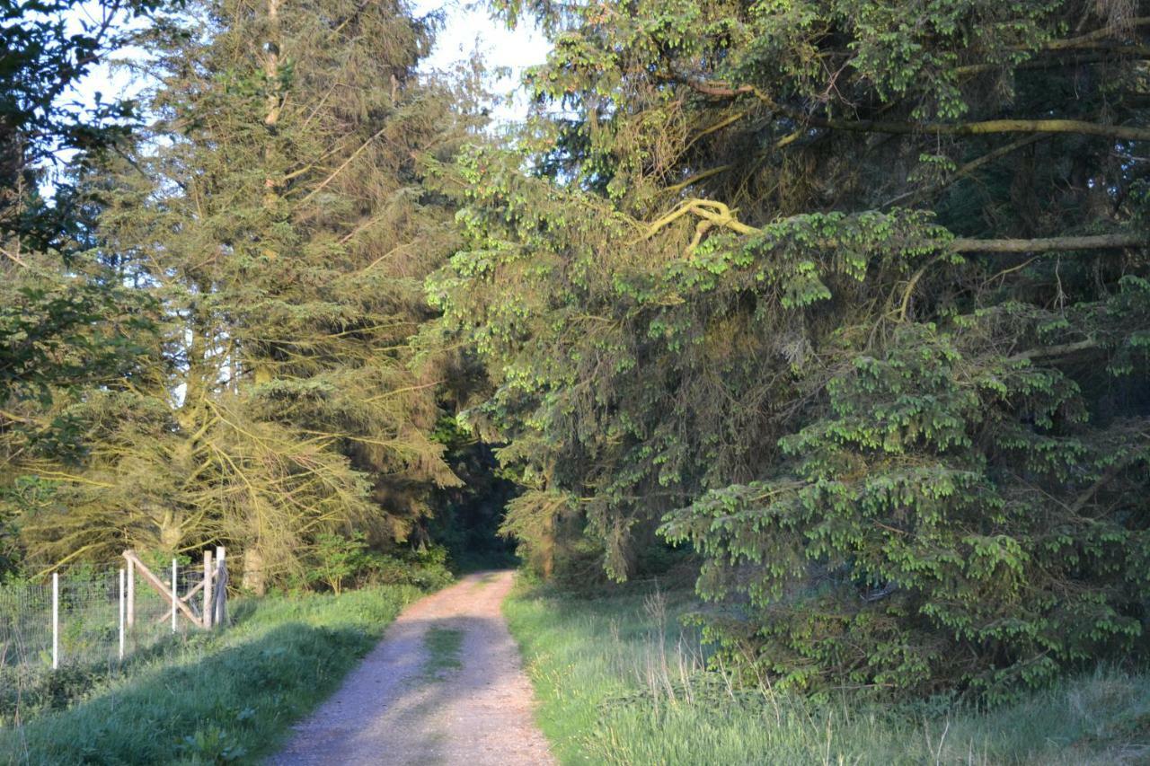 Hyggehus Villa Humptrup Buitenkant foto